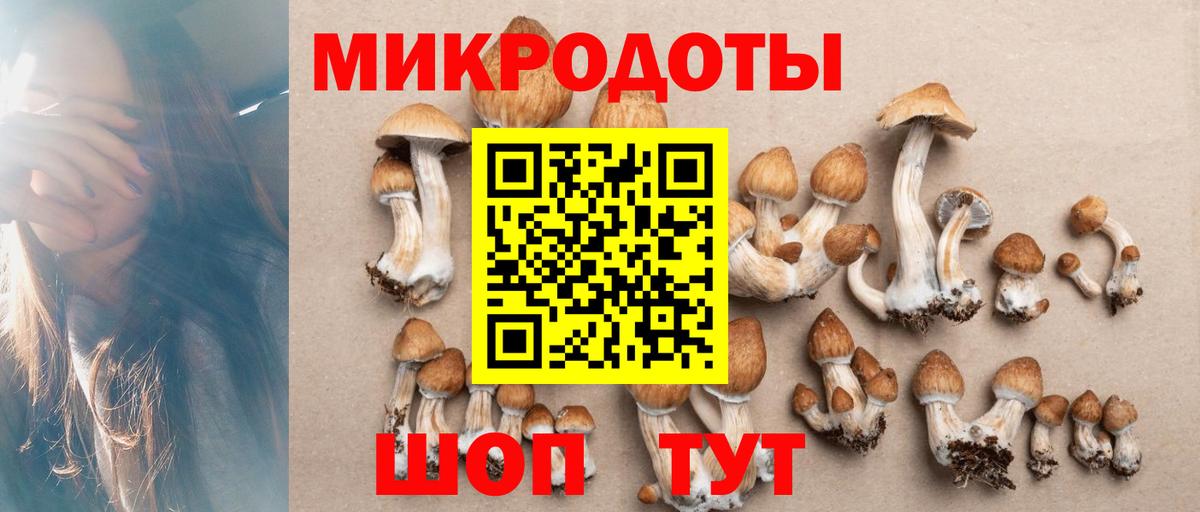 Псилоцибиновые грибы мицелий  Вход с VPN  Псилоцибиновые грибы Psilocybine cubensis  Берёзовский 