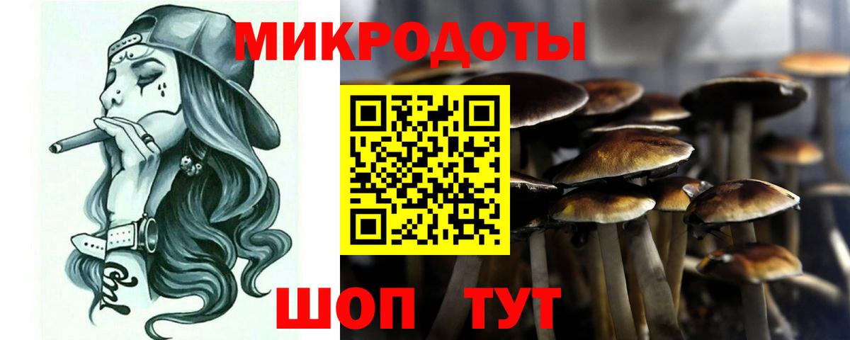 Псилоцибиновые грибы мухоморы Берёзовский