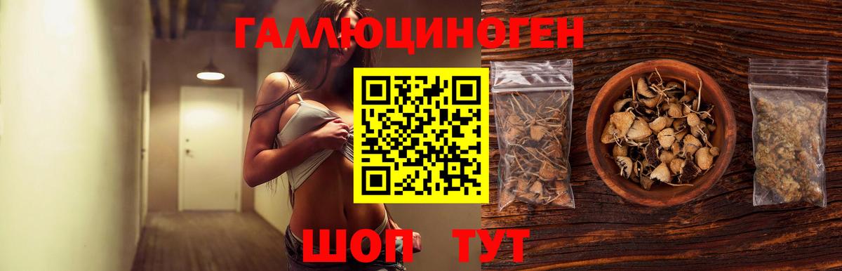 Псилоцибиновые грибы ЛСД  Берёзовский 